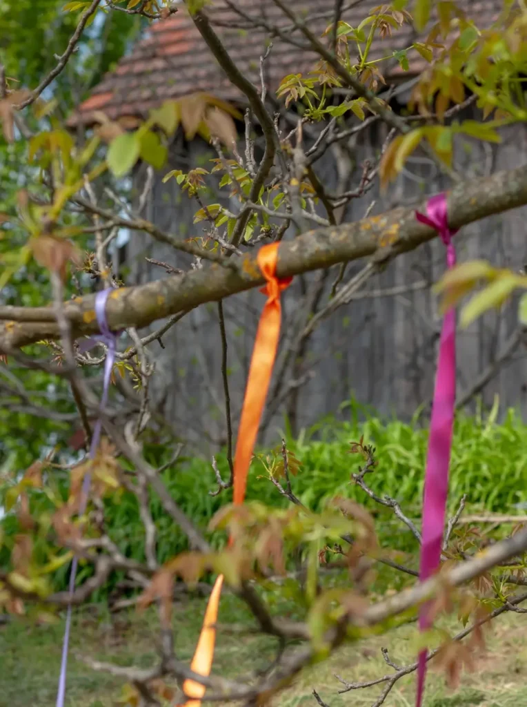 Bunte Bänder hängen an einem Baumzweig vor einem unscharfen Hintergrund aus Holz und grünem Gras.