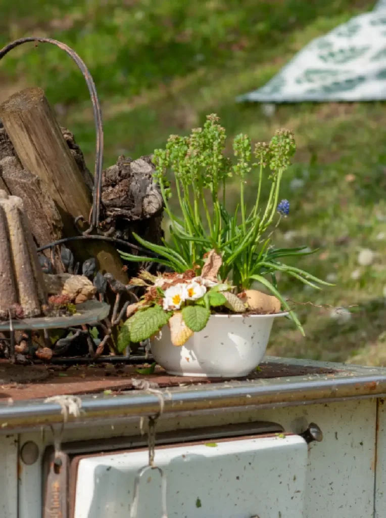 Ein Blumentopf mit verschiedenen Pflanzen steht auf einem alten Tisch im Freien, umgeben von natürlicher Vegetation.
