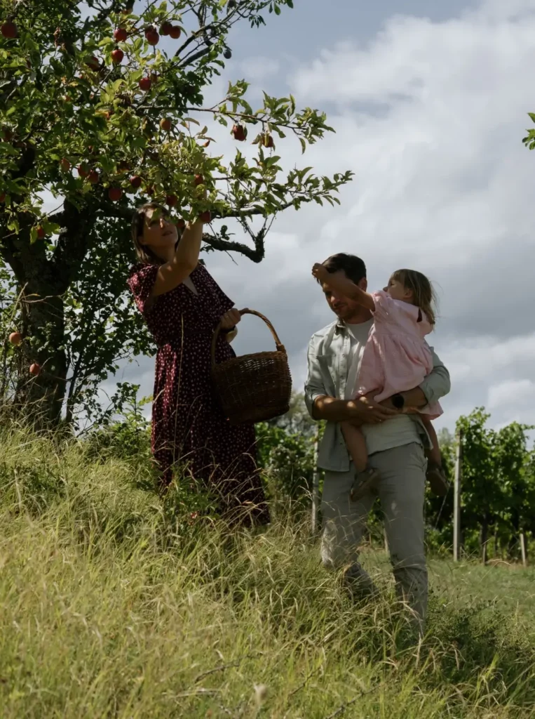 Eine Familie pflückt Äpfel in einem Obstgarten, während sie eine entspannte Zeit im Freien genießen.